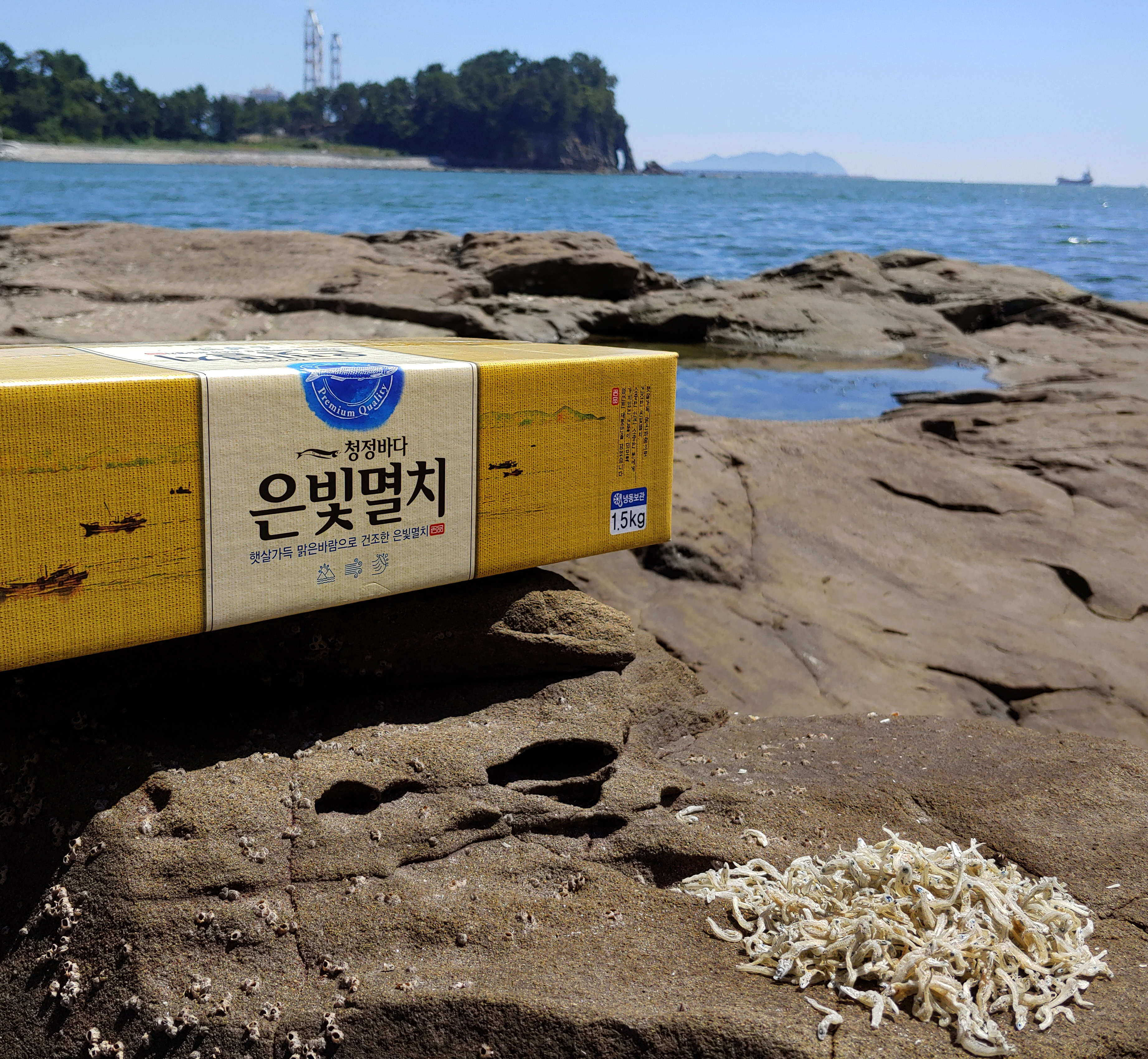 세멸 1.5kg