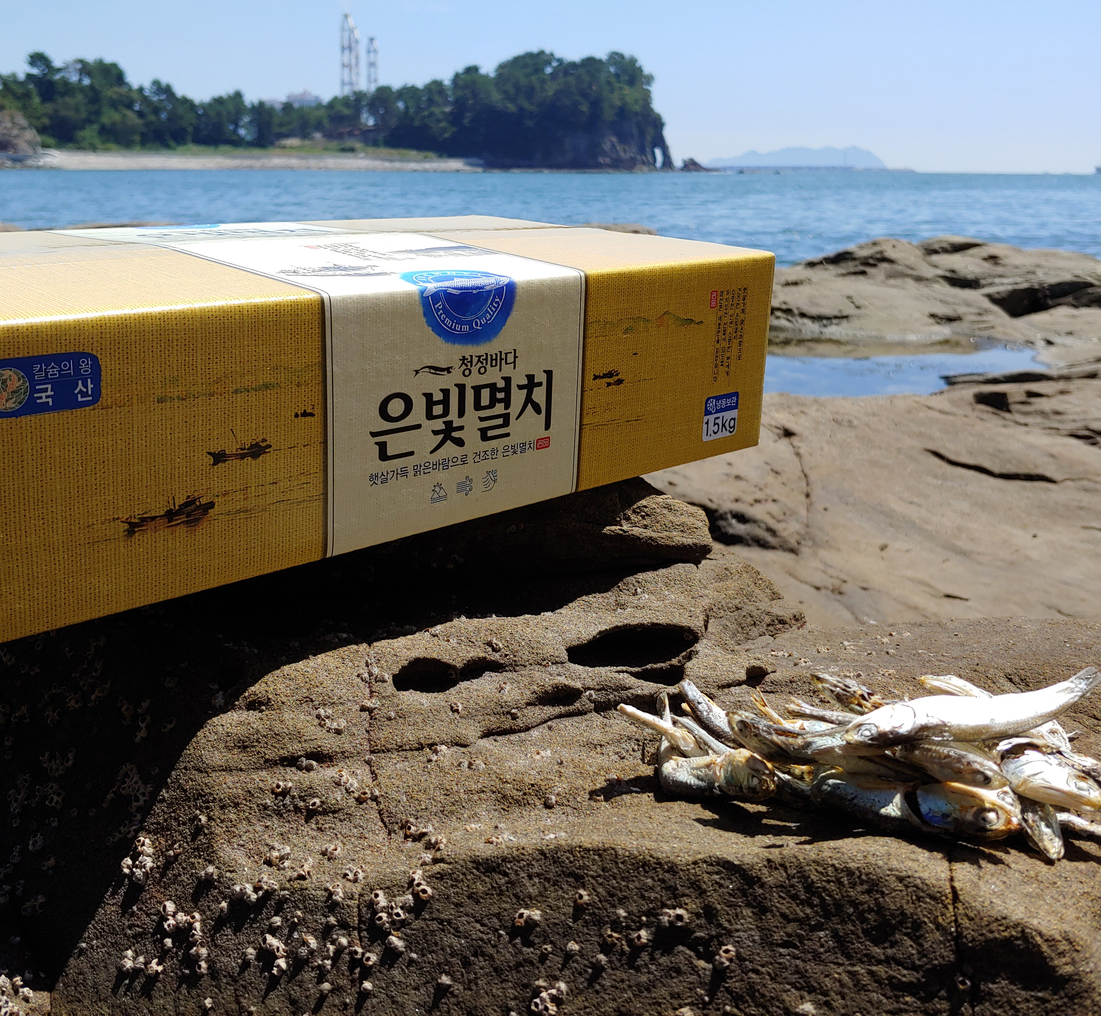 국물용 1.5kg